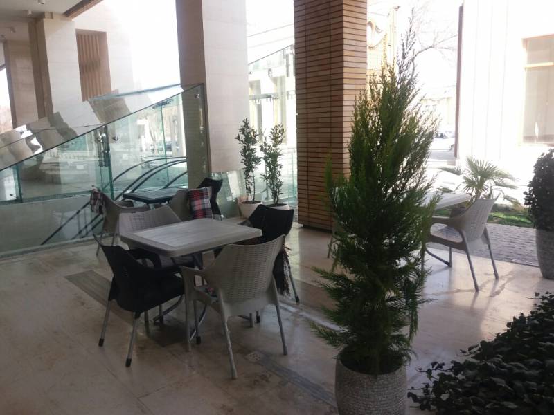 کافه بلک فاکس اصفهان